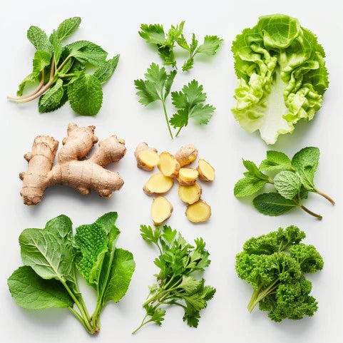 Kuvings fresh juice ingredients with green herbs and ginger on a white background for healthy homemade juice recipes.
