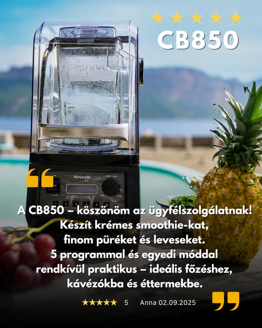 Kuvings CB850 commercial blender customer review image showing the appliance with pineapple and scenic background for smoothies and purees.