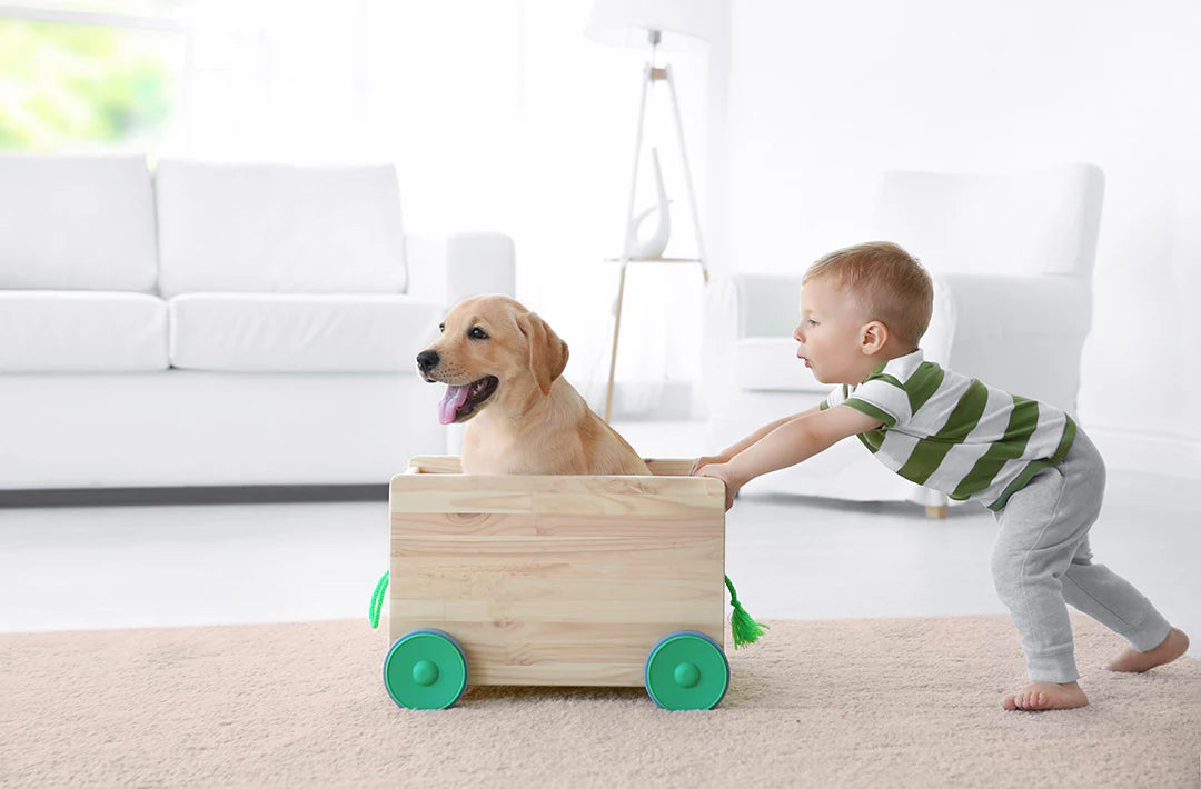 Child pushing a wooden cart with a dog inside in a living room.