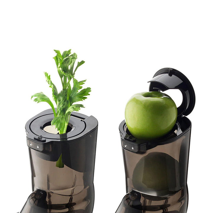 Two kuvings EVO280 from top view with white background celery and apples